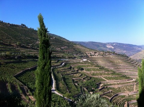 A UNESCO World Heritage Site, the Douro River Valley is the epicenter of port wine production. Photo © 2012 Peter Saunders
