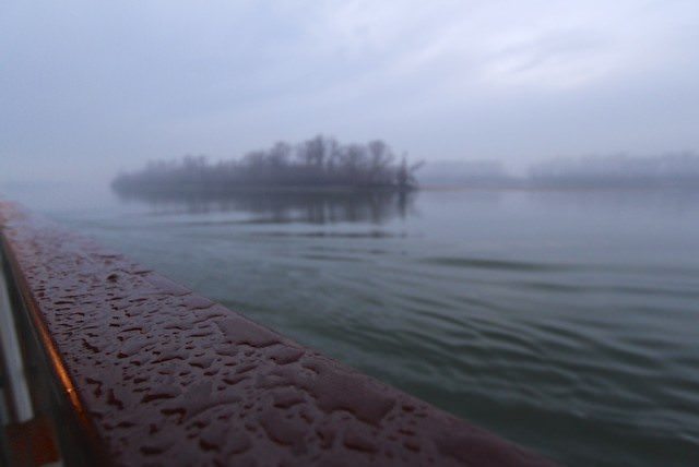 Misty and magical island on the Danube.