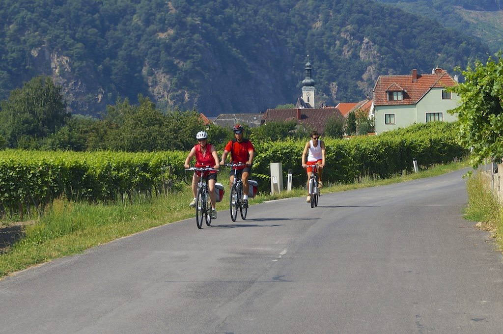 Vineyards and Bikes