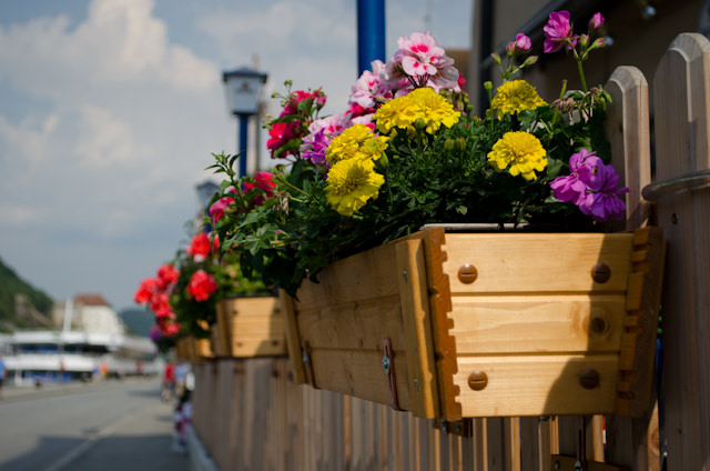 Passau is also a very pretty town, with fresh flowers everywhere. Photo © 2014 Aaron Saunders