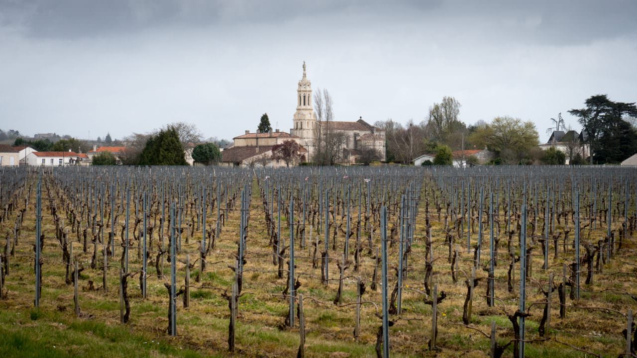 Vineyards Galore