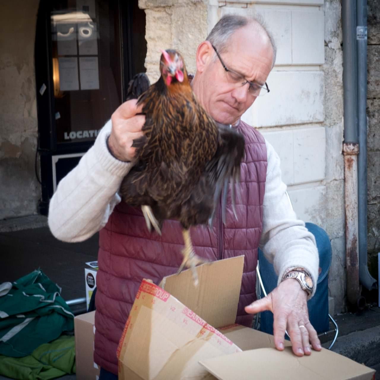 The vendor reached into the cage, grabbed a selected bird by the scruff of its neck and stuffed it, with much squawking, into a box. I was told the chicken would have a good life once at home with the new owner, who purchased the chicken for its eggs. © 2016 Ralph Grizzle